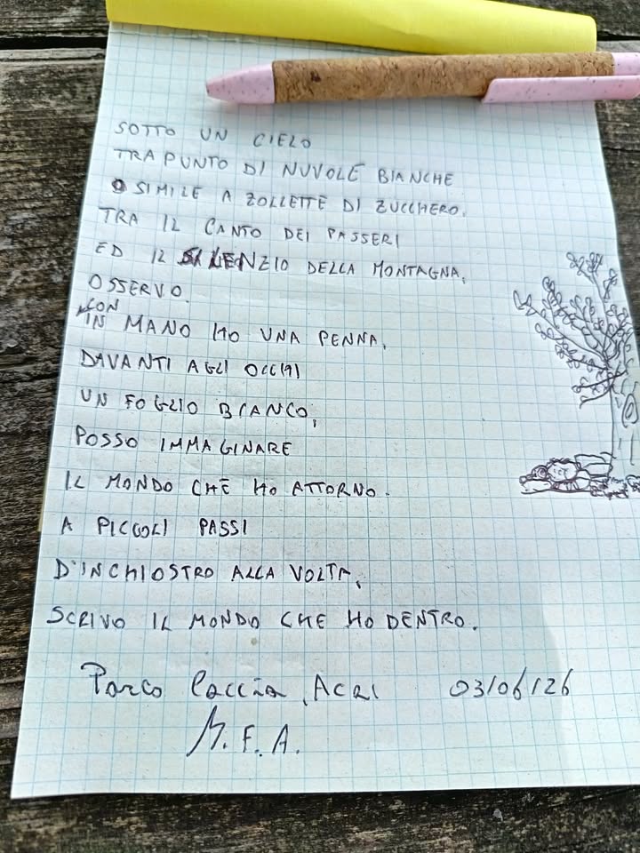 Foto &copy; Acri In Rete