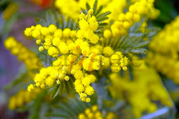 Foto © Acri In Rete