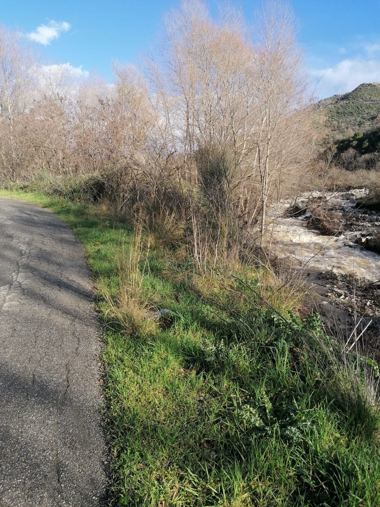 Foto &copy; Acri In Rete