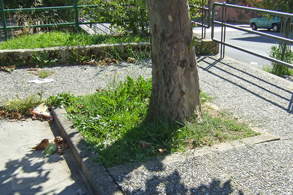 Foto © Acri In Rete