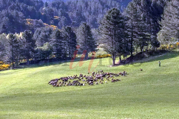 Foto © Acri In Rete