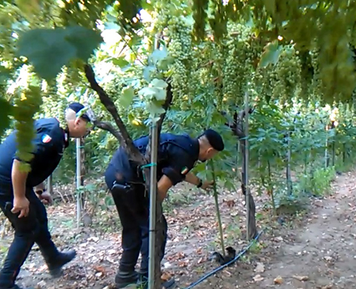 Foto &copy; Acri In Rete