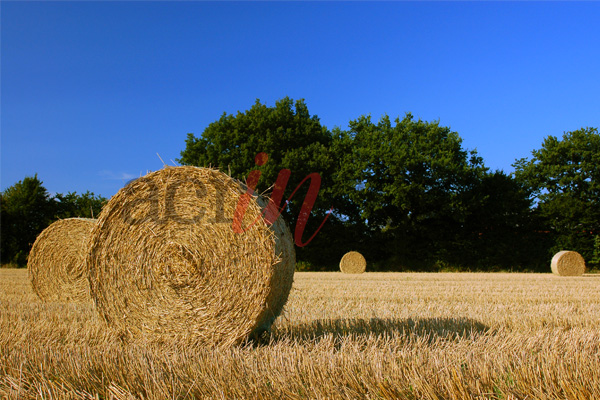 Foto © Acri In Rete