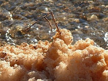 Foto © Acri In Rete