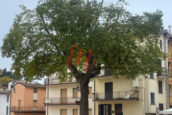 Foto © Acri In Rete