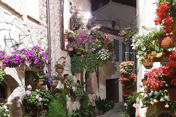 Foto © Acri In Rete