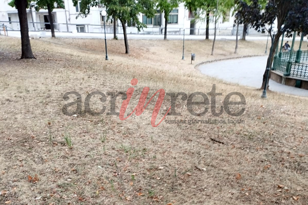 Foto © Acri In Rete