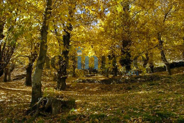 Foto © Acri In Rete