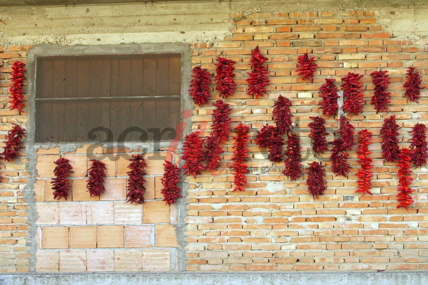 Foto © Acri In Rete