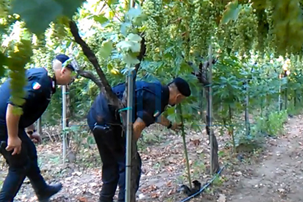 Foto &copy; Acri In Rete