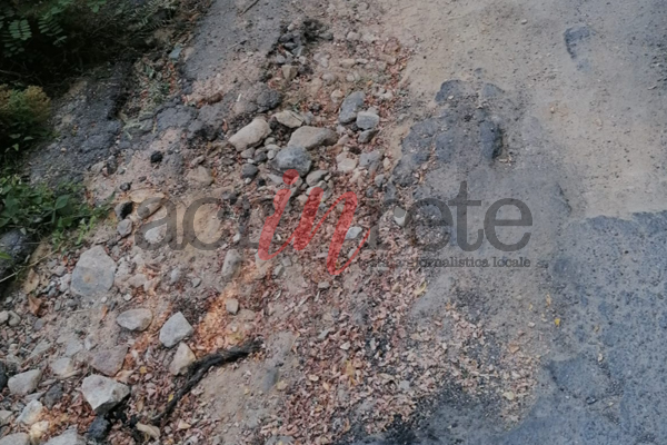 Foto © Acri In Rete