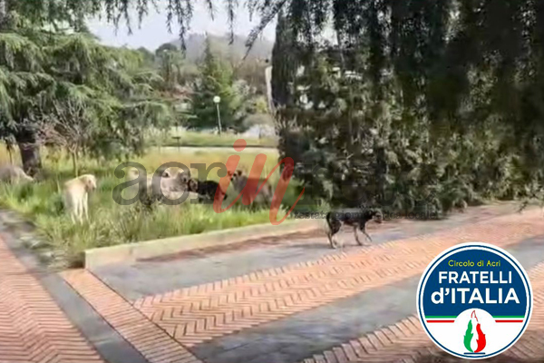 Foto &copy; Acri In Rete