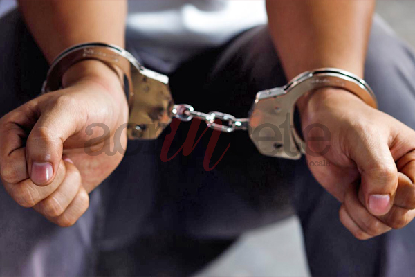 Foto &copy; Acri In Rete