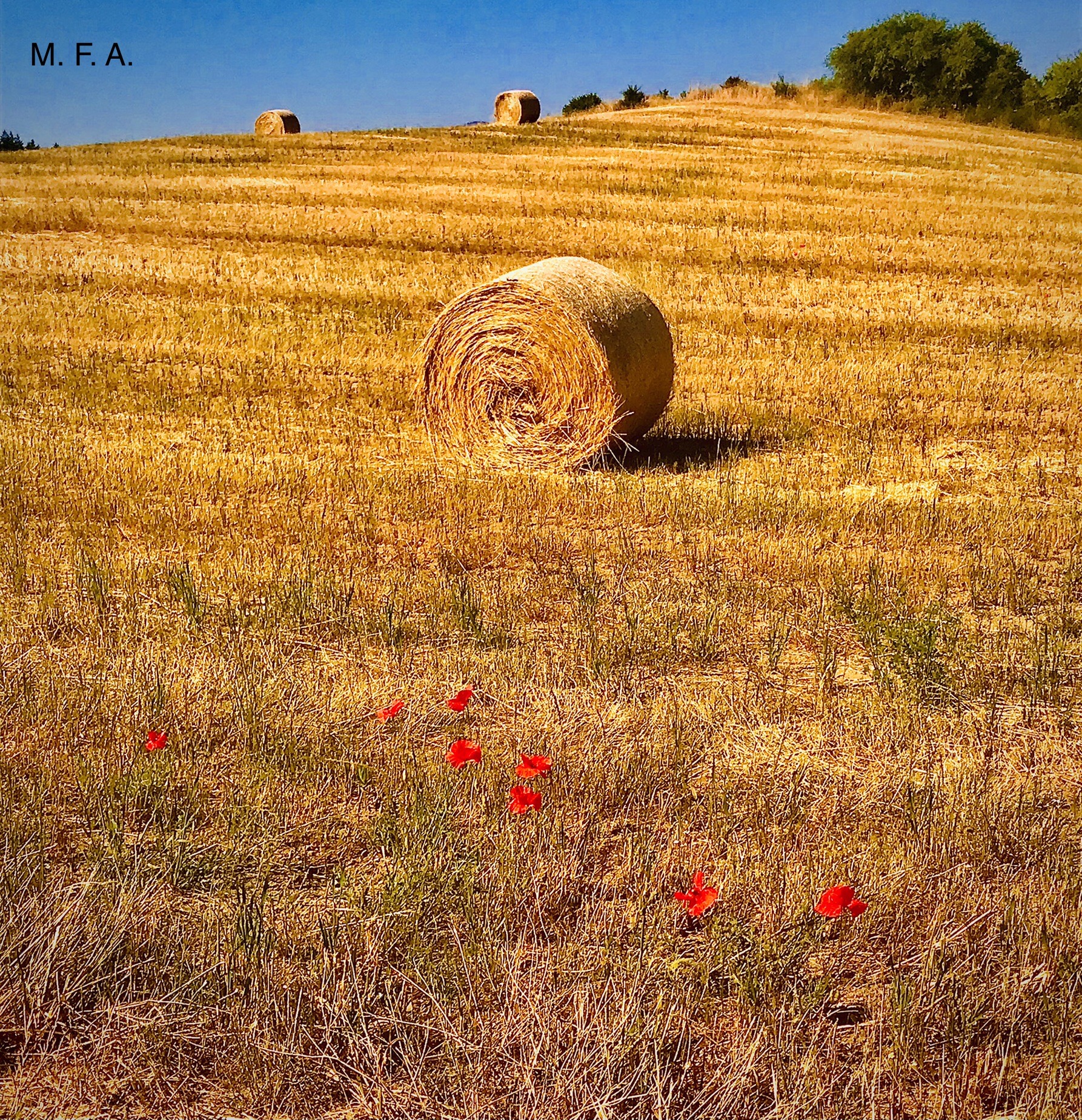 Foto © Acri In Rete