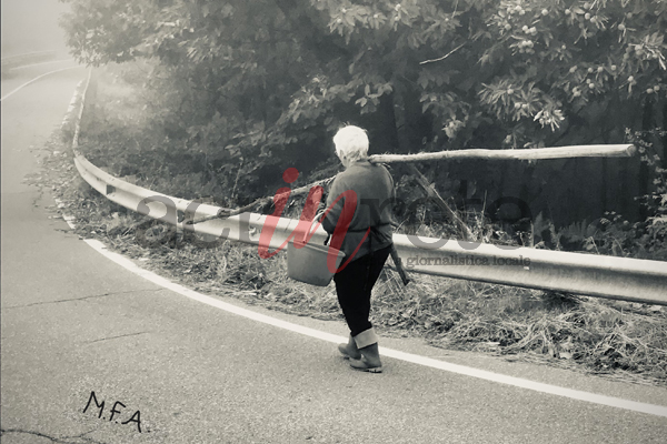 Foto © Acri In Rete