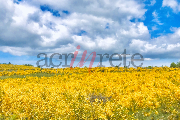 Foto © Acri In Rete