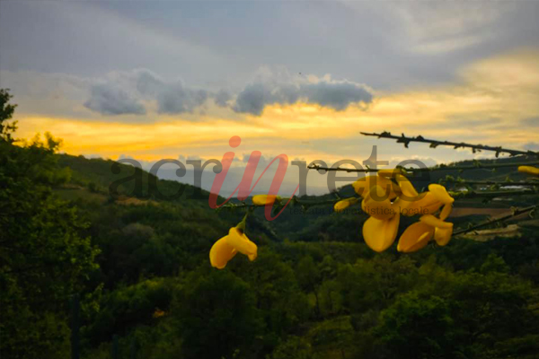 Foto © Acri In Rete