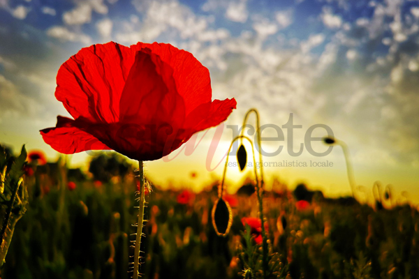 Foto © Acri In Rete