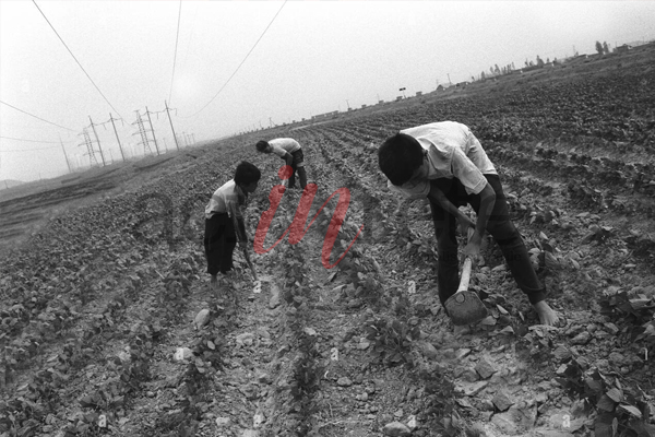 Foto © Acri In Rete