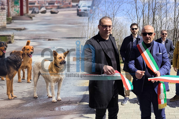 Foto &copy; Acri In Rete