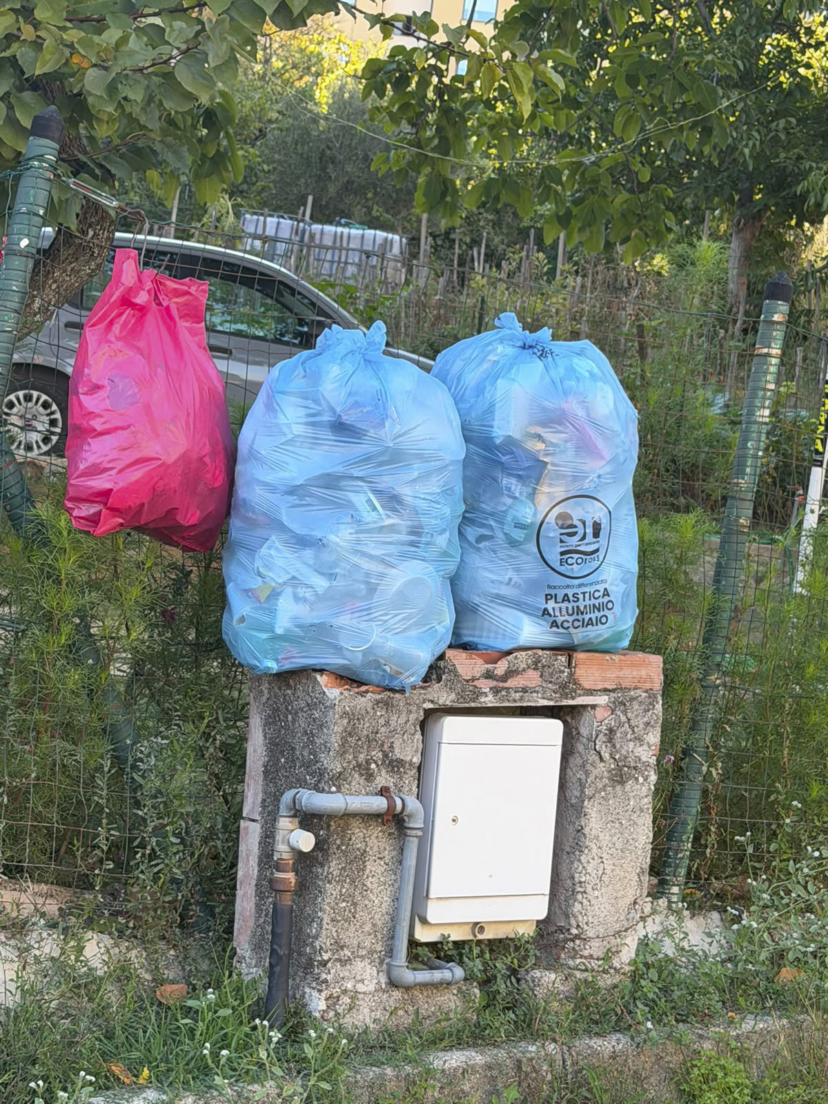 Foto &copy; Acri In Rete