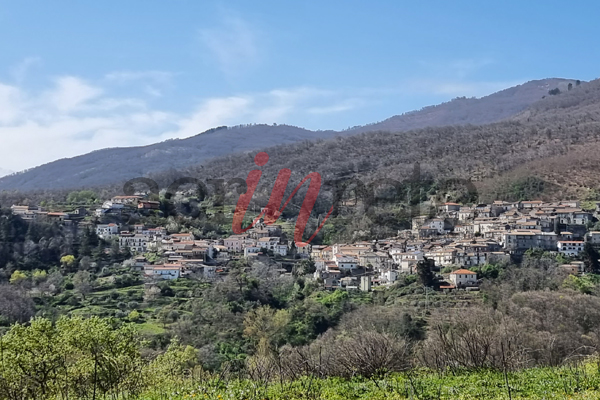 Foto © Acri In Rete