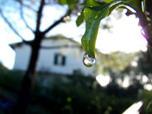 Foto © Acri In Rete